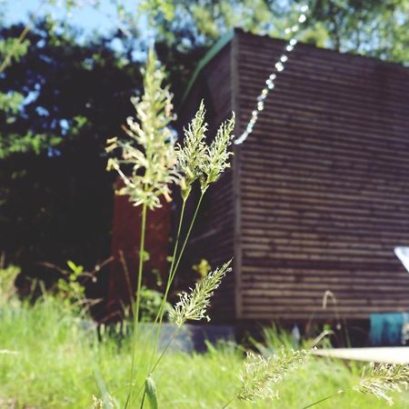 Tiny House Nouvelle Annonce Boho Ocean Hotel Naujac-sur-Mer Exterior photo